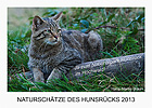 Kalender: Naturschätze des Hunsrücks 2013